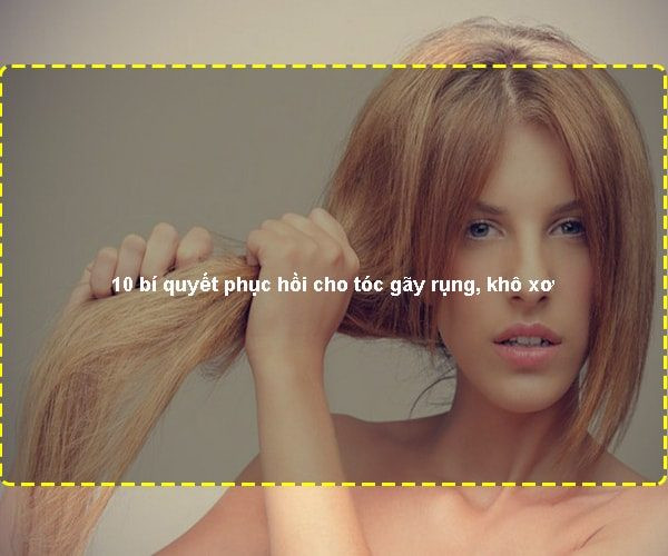 10 bí quyết phục hồi cho tóc gãy rụng, khô xơ