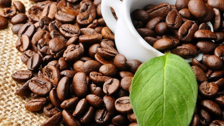 6- Ủ tóc bằng bột cà phê 1