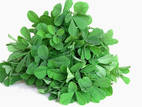 Cà Rốt Ngừa Tóc Bạc Thành Công