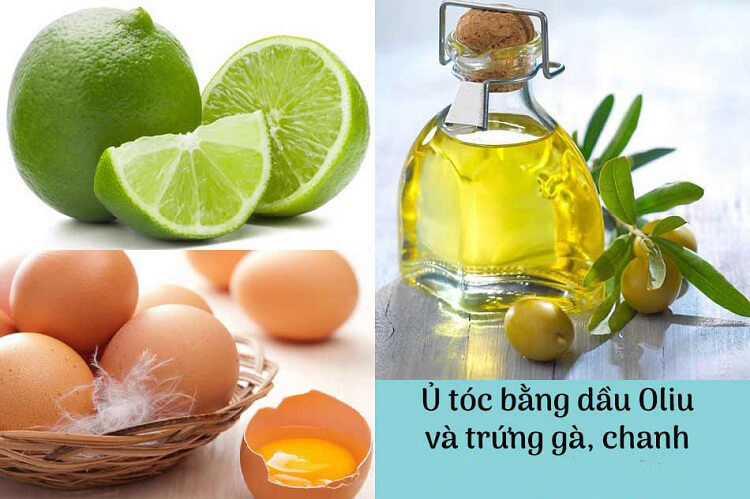 Cách Làm Ủ Tóc Từ Bơ, Trứng Gà Và Dầu Dừa