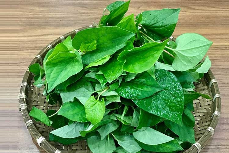 Sử Dụng Bài Thuốc Dân Gian