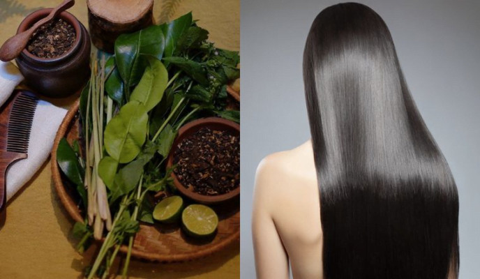 Trái bồ kết có tác dụng chống gàu và ngừa da đầu