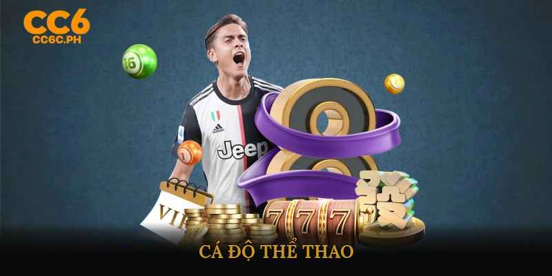 Cá Độ Thể Thao