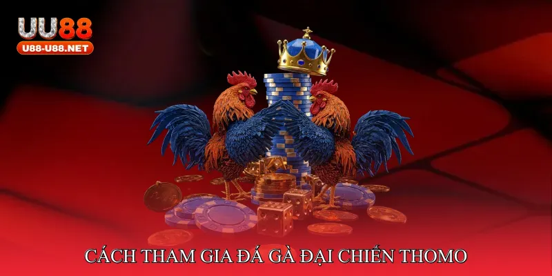 Đá Gà Đại Chiến Thomo