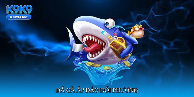 Đá gà áp đảo đối phương