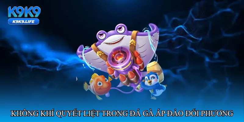 Đá gà áp đảo đối phương