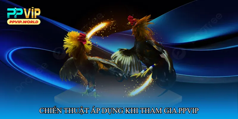 Đá gà chiến kê toàn thắng