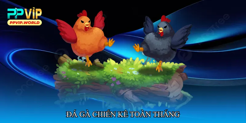 Đá gà chiến kê toàn thắng