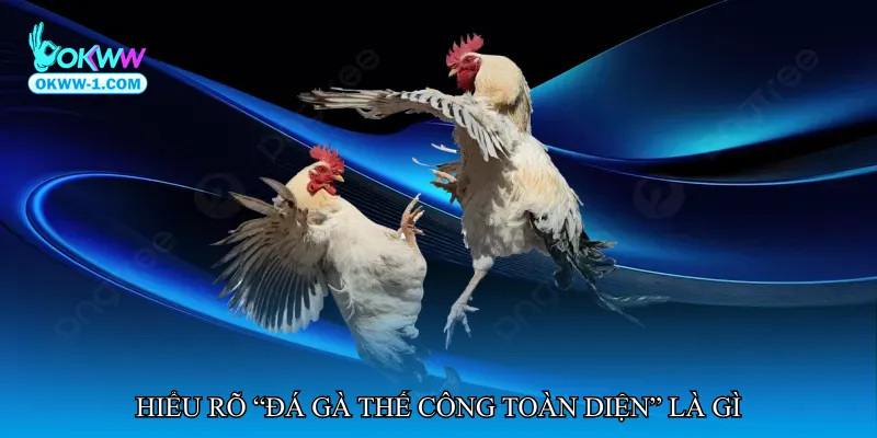 Đá gà thế công toàn diện