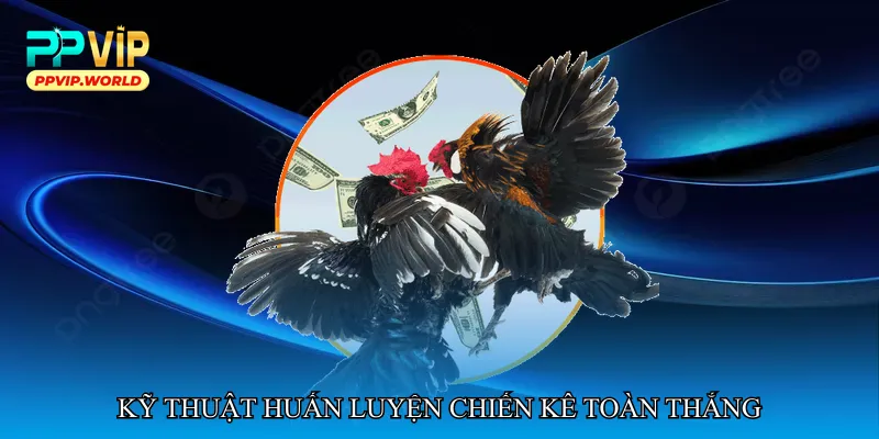 Đá gà chiến kê toàn thắng