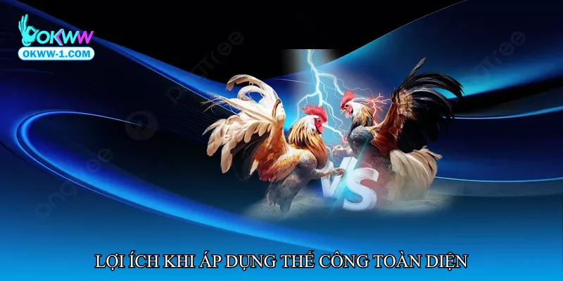 Đá gà thế công toàn diện