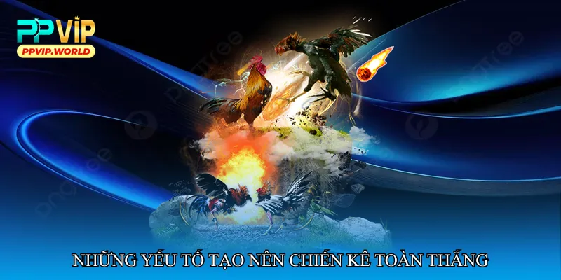 Đá gà chiến kê toàn thắng