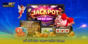 Đá gà chiến kê già – Bí quyết nhận biết và chiến thuật thắng cược